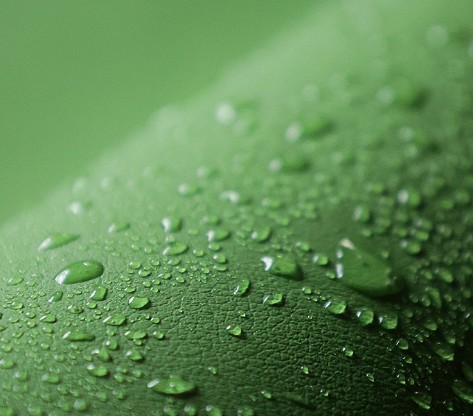 自然由来 お茶の合成皮革 chakara 撥水 防水